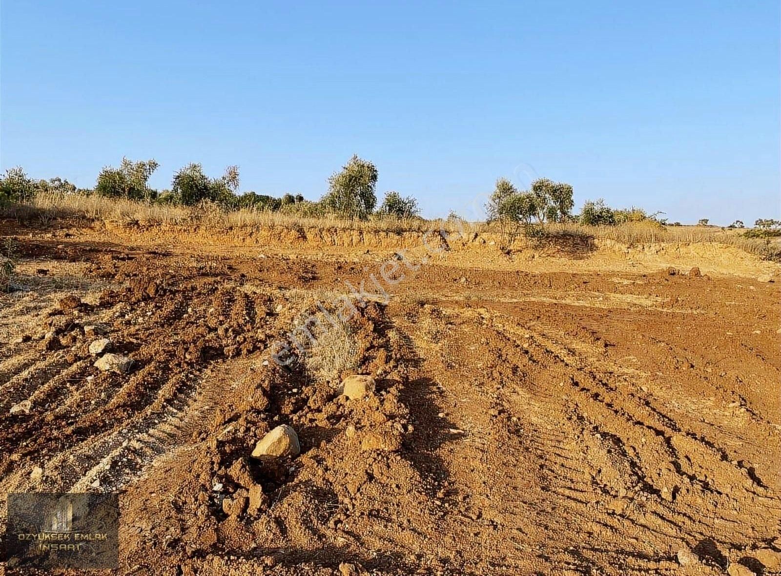 Kilis Merkez Öncü Pınar Satılık Bağ & Bahçe KİLİS MERKEZ ÖNCÜPINAR MAH SATILIK ARAZİ