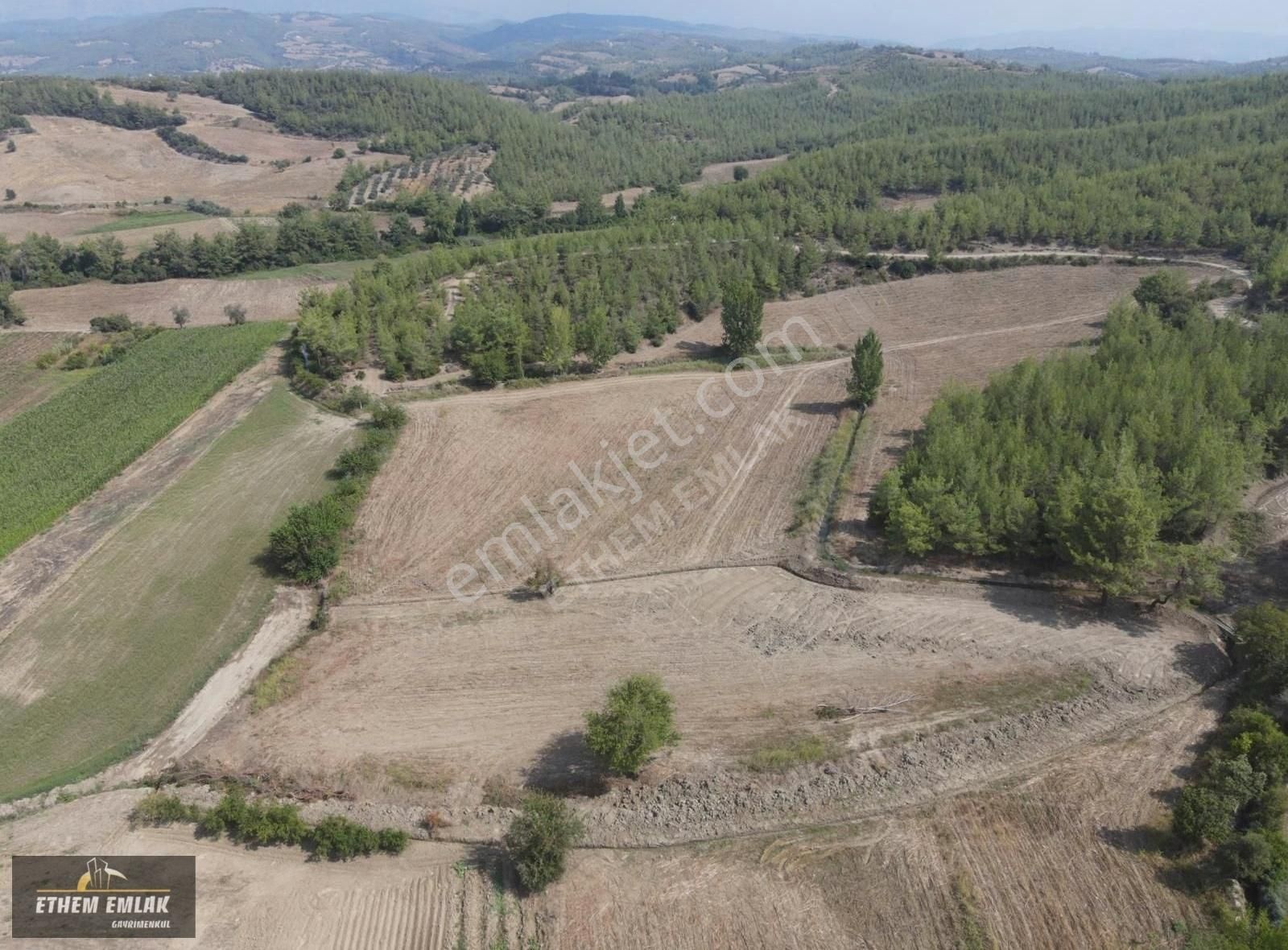 Karaisalı Gökhasanlı Satılık Tarla ADANA KARAİSALI GÖKHASANLIDA TEK TAPU SATILIK ARAZİ