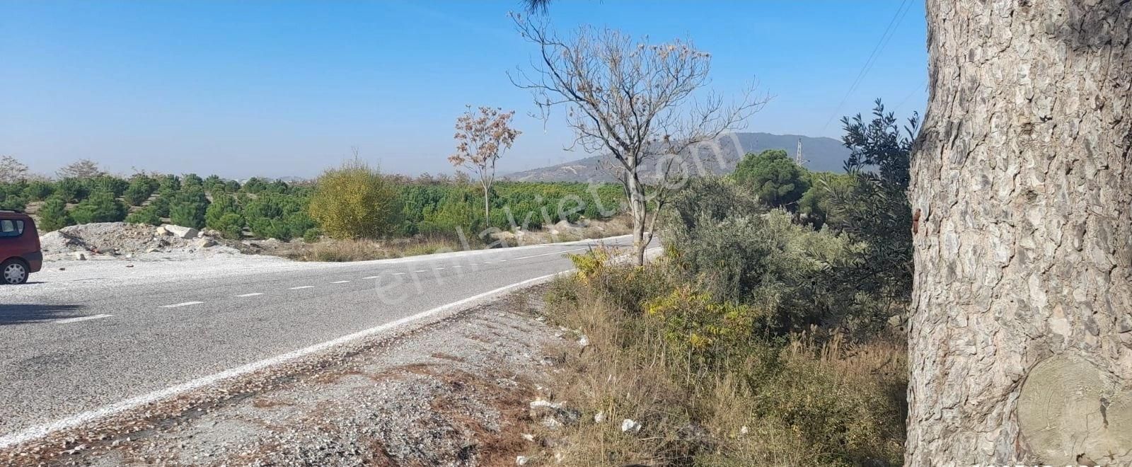 Bursa Demirtaş Mah. İsmetiye Köy Tarla Satılık - Görsel 8