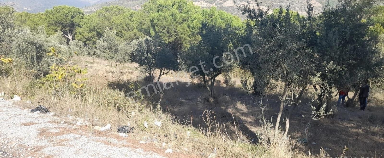 Bursa Demirtaş Mah. İsmetiye Köy Tarla Satılık - Görsel 4