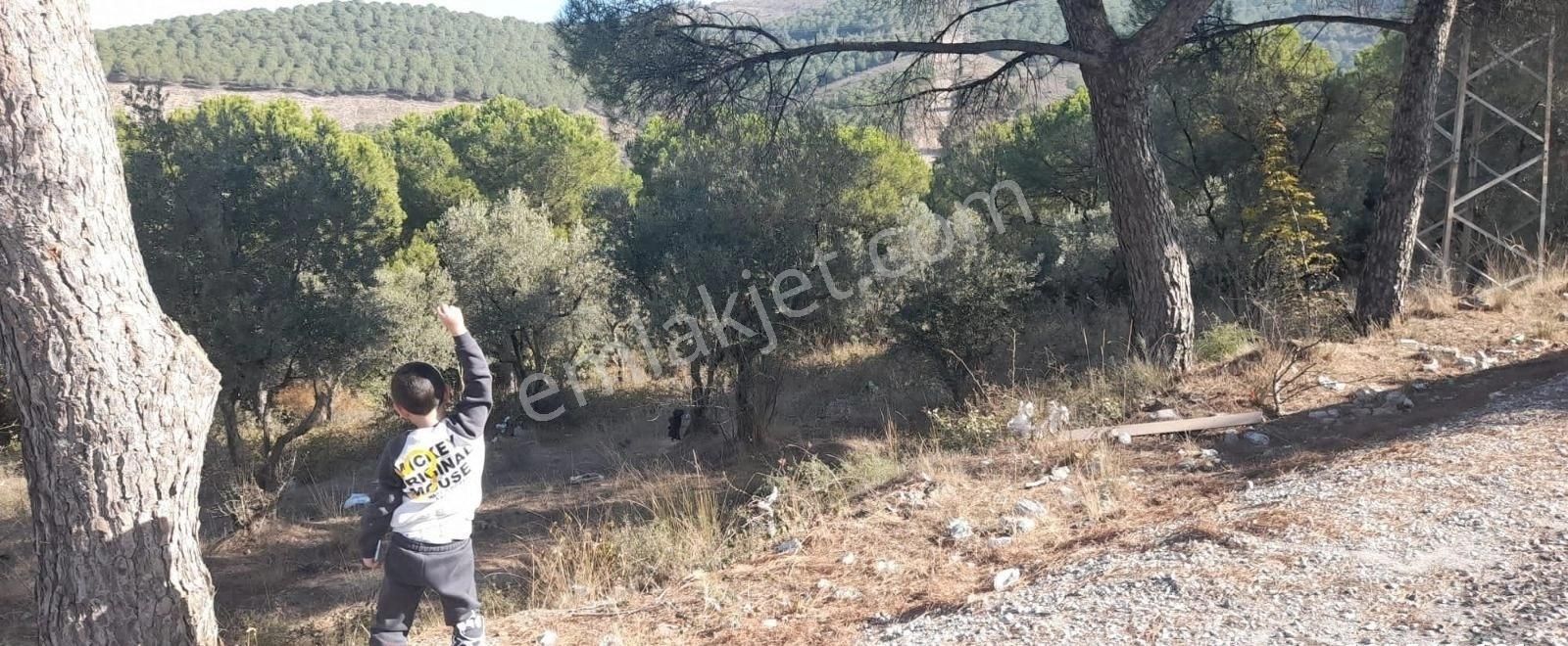 Bursa Demirtaş Mah. İsmetiye Köy Tarla Satılık - Görsel 11