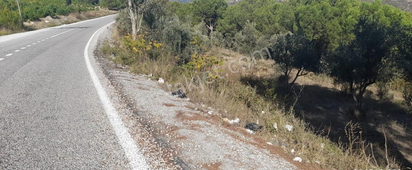 Bursa Demirtaş Mah. İsmetiye Köy Tarla Satılık - Görsel 7
