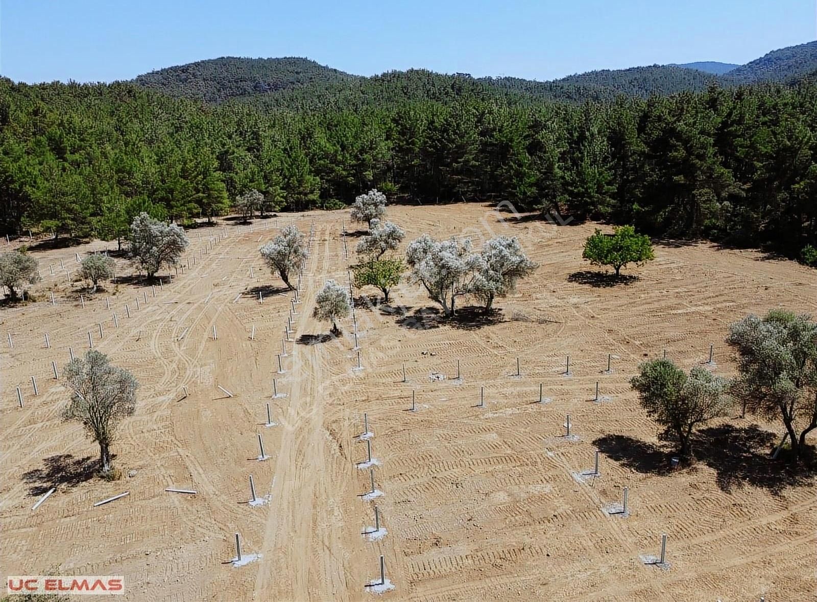 Menderes Yeniköy Satılık Bağ & Bahçe Üç Elmastan İnanılmaz Güzellikte 244 M² Elektrik Suyu Olan Bahçe