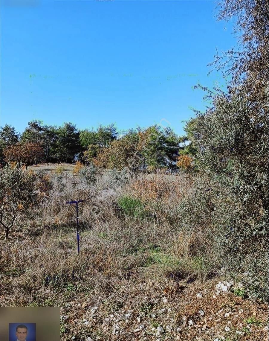 Belen De Sorunsuz Bahçe Ve Tarla - Görsel 18