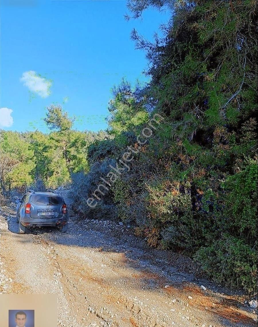 Belen De Sorunsuz Bahçe Ve Tarla - Görsel 2