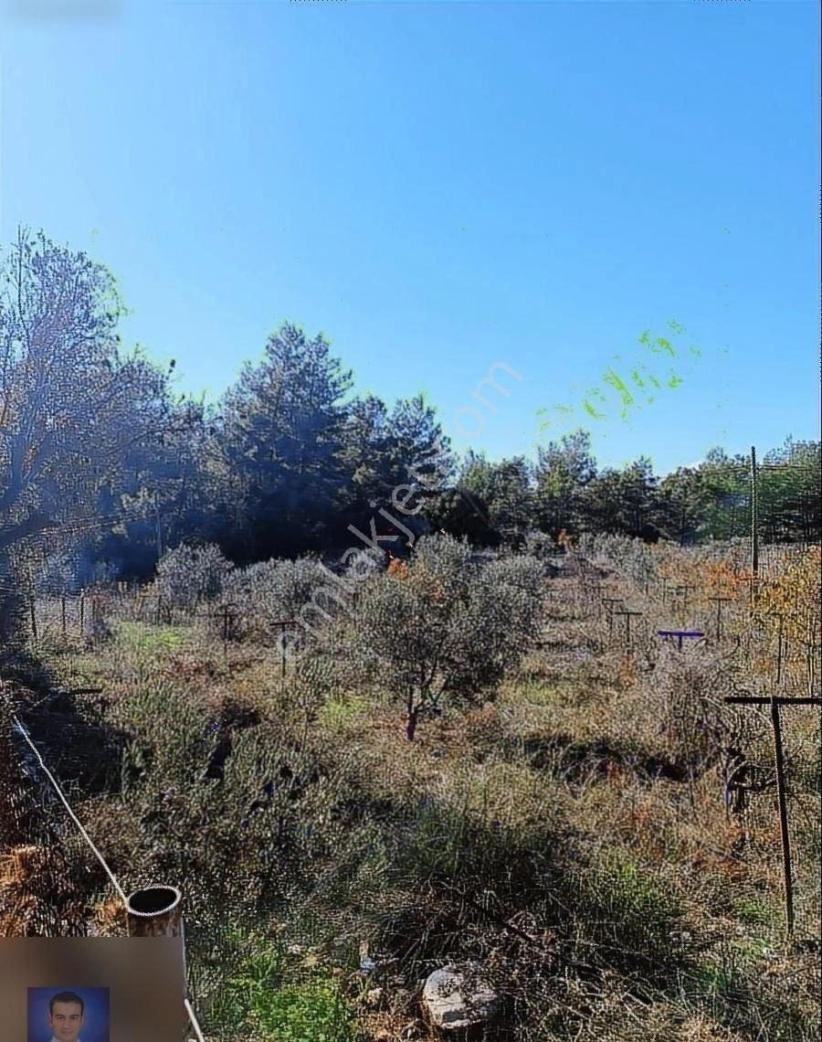 Belen De Sorunsuz Bahçe Ve Tarla - Görsel 11