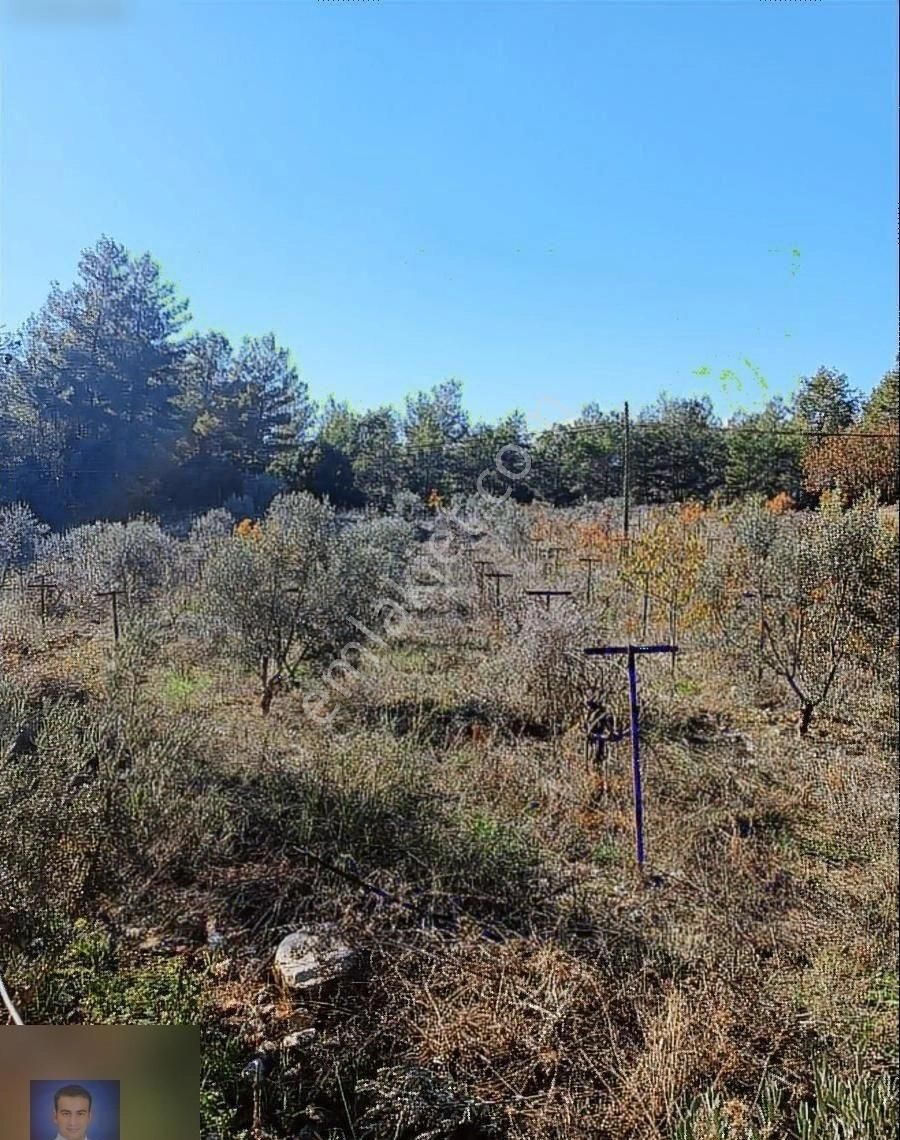 Belen De Sorunsuz Bahçe Ve Tarla - Görsel 3