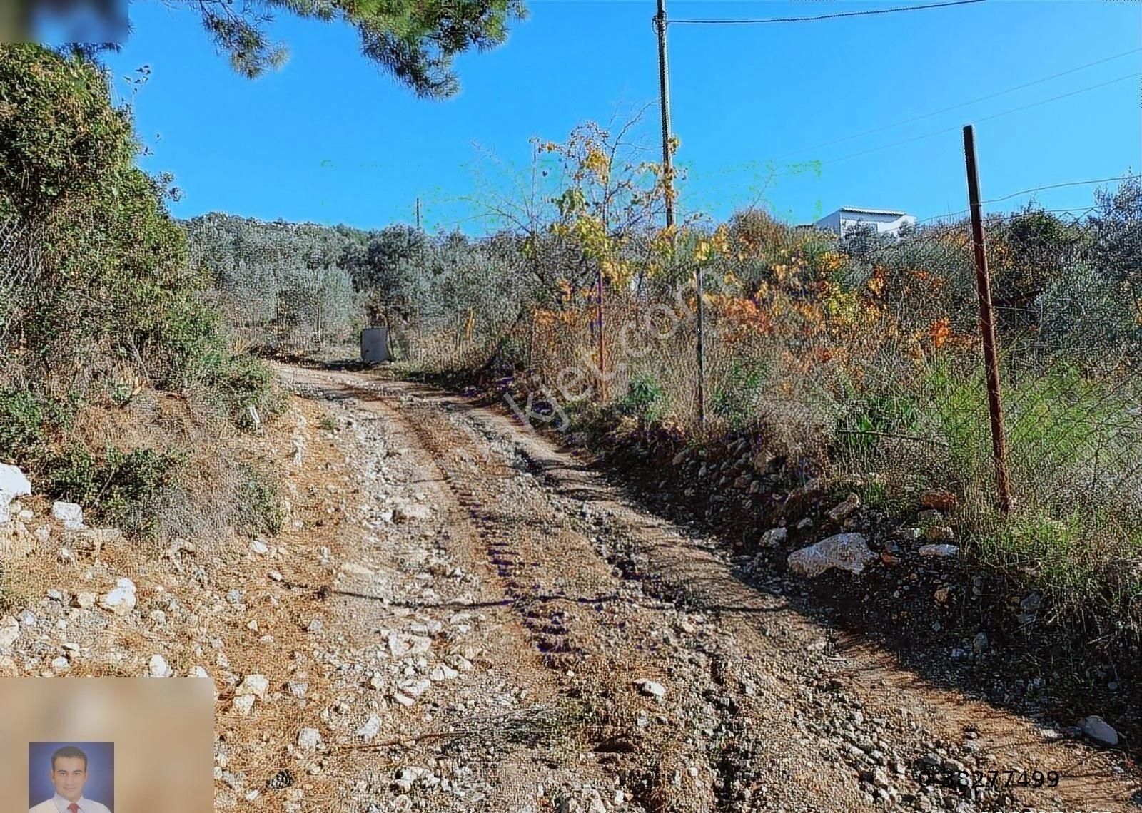 Belen De Sorunsuz Bahçe Ve Tarla - Görsel 5