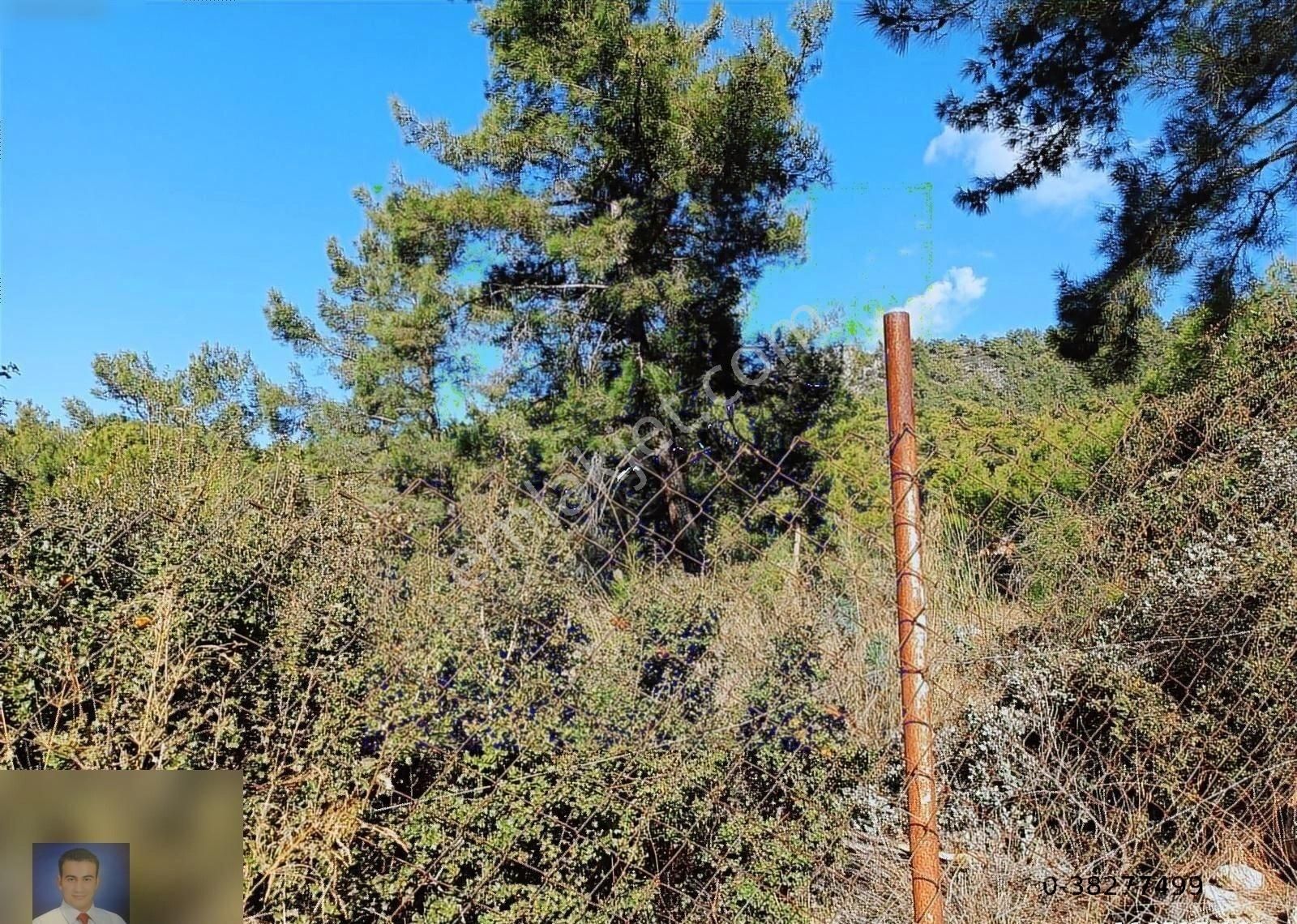 Belen De Sorunsuz Bahçe Ve Tarla - Görsel 15