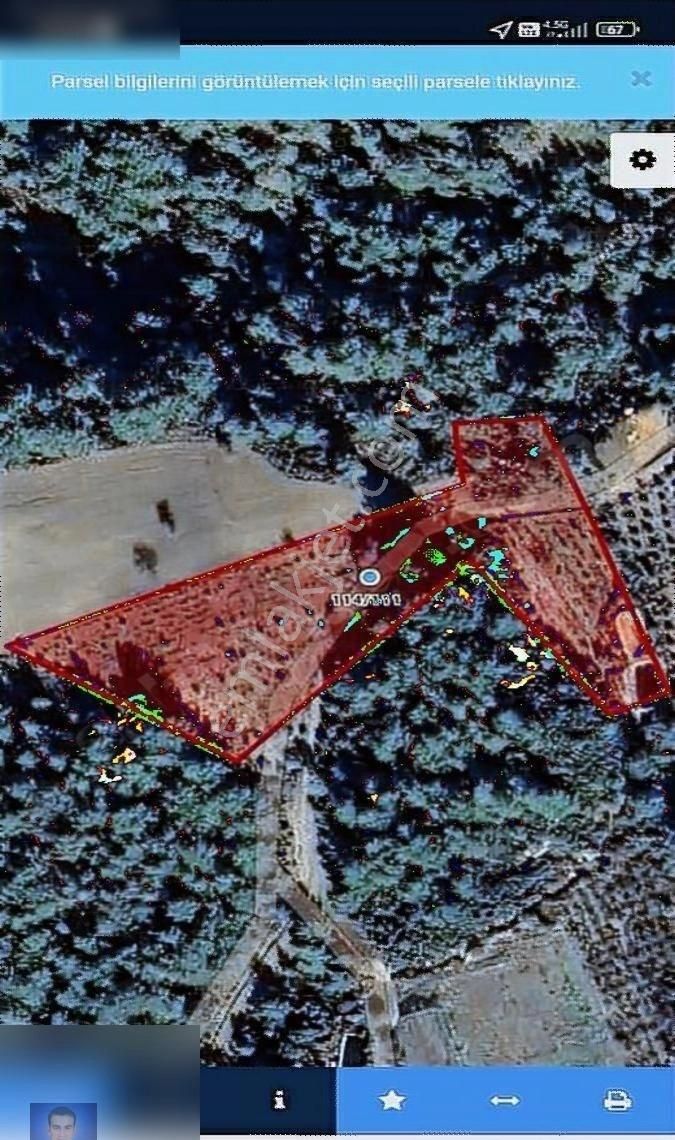 Belen De Sorunsuz Bahçe Ve Tarla - Görsel 19