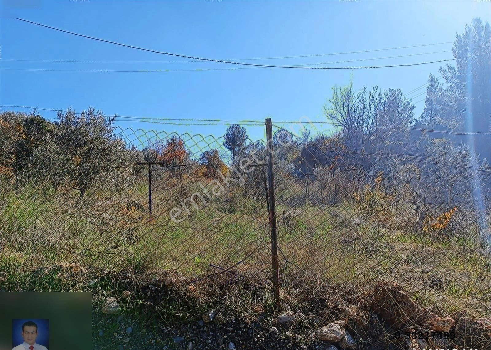 Belen De Sorunsuz Bahçe Ve Tarla - Görsel 9