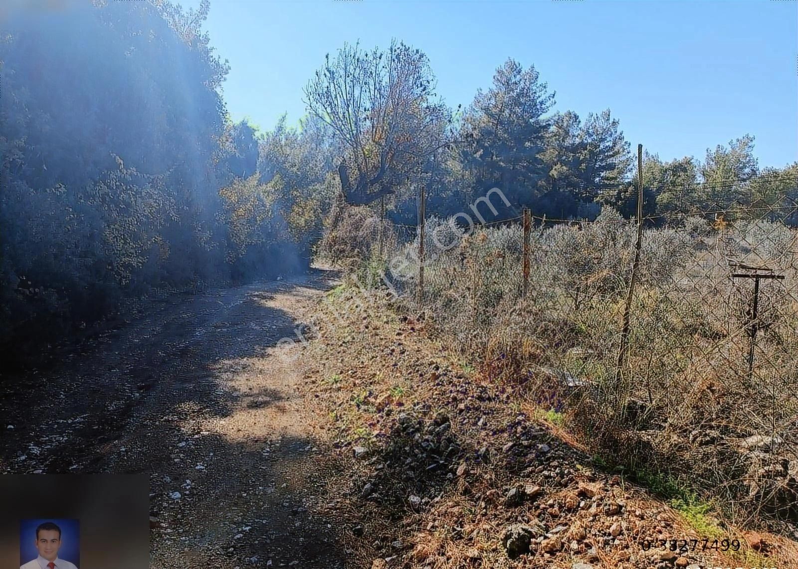 Belen De Sorunsuz Bahçe Ve Tarla - Görsel 7