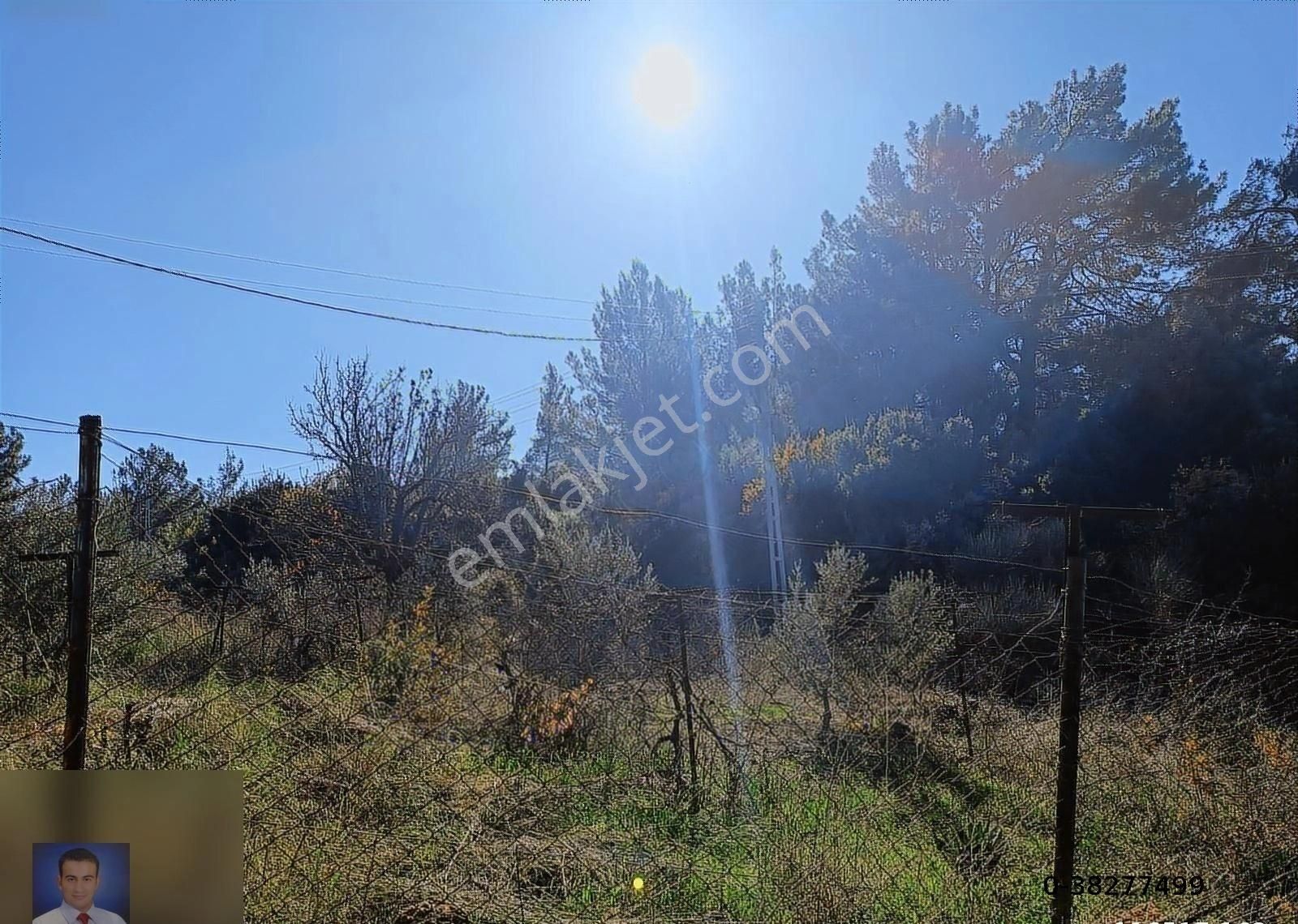 Belen De Sorunsuz Bahçe Ve Tarla - Görsel 10