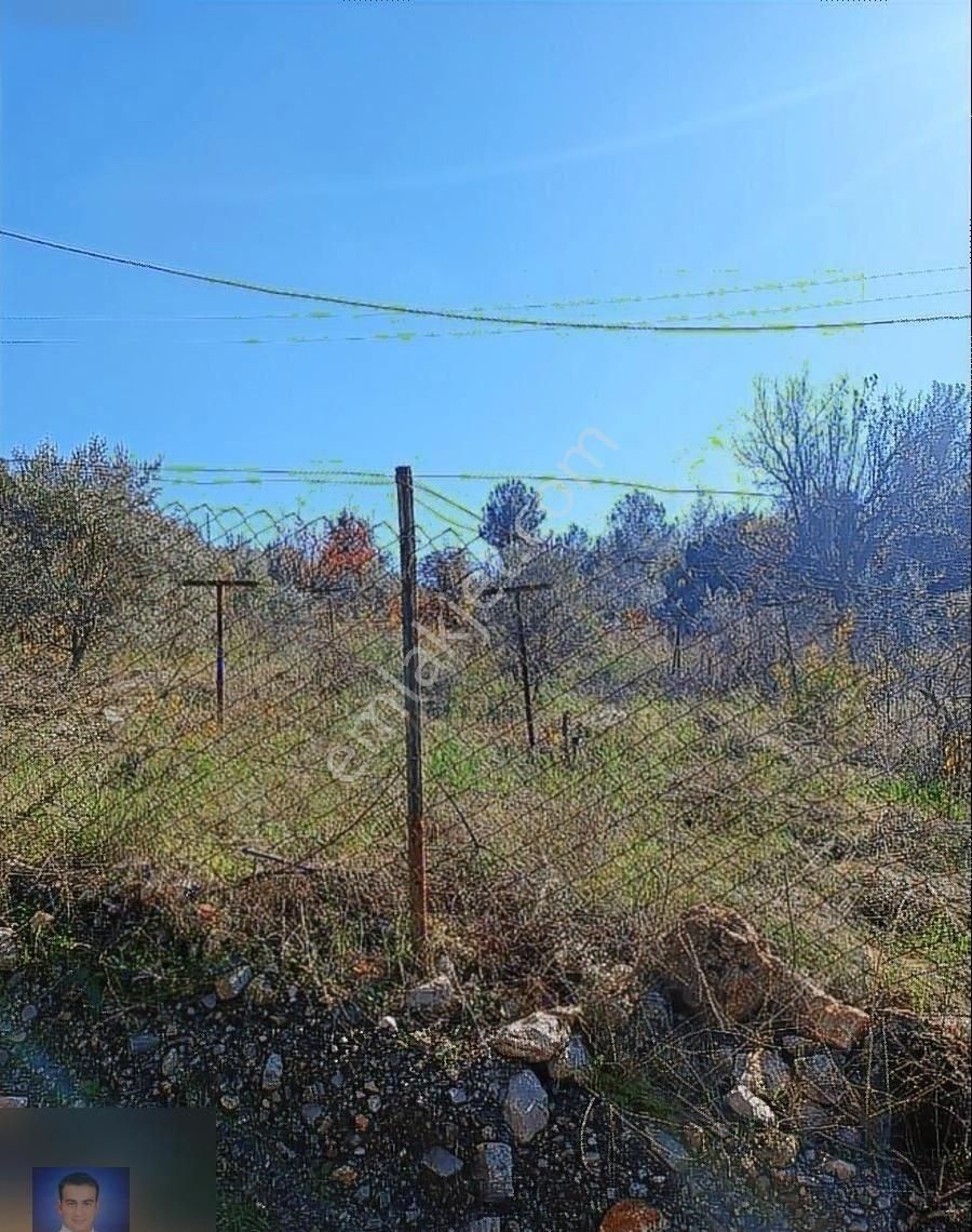 Belen De Sorunsuz Bahçe Ve Tarla - Görsel 20