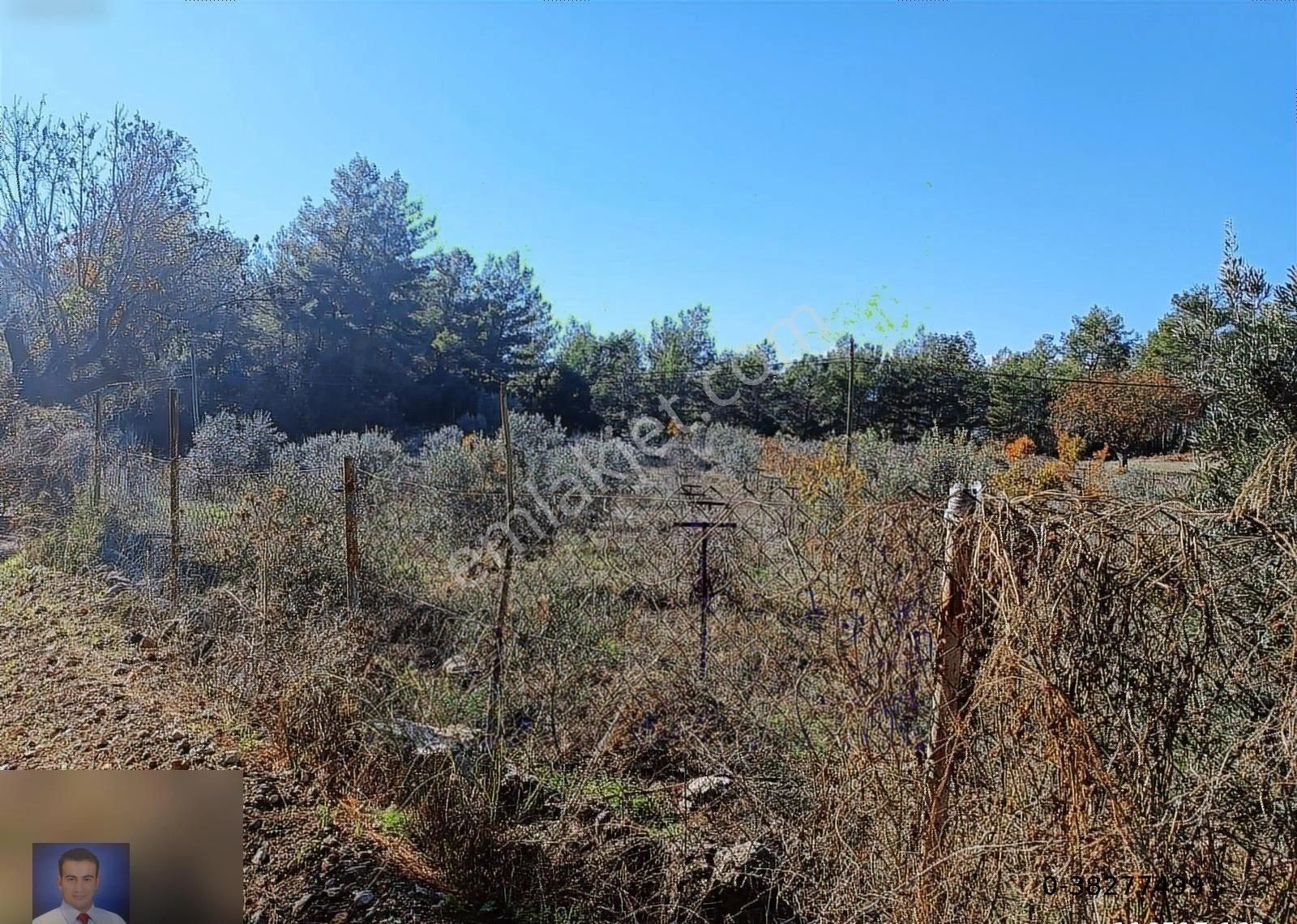 Belen De Sorunsuz Bahçe Ve Tarla - Görsel 13