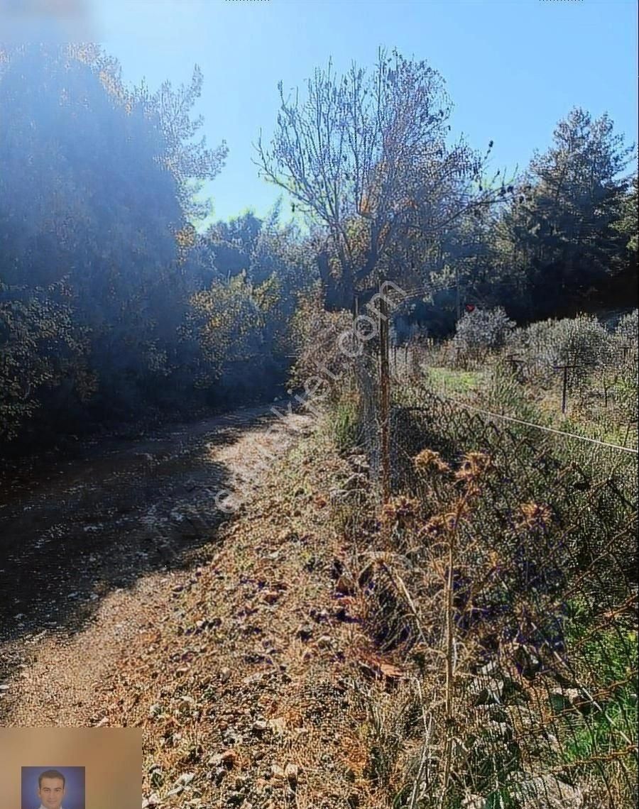 Belen De Sorunsuz Bahçe Ve Tarla - Görsel 17