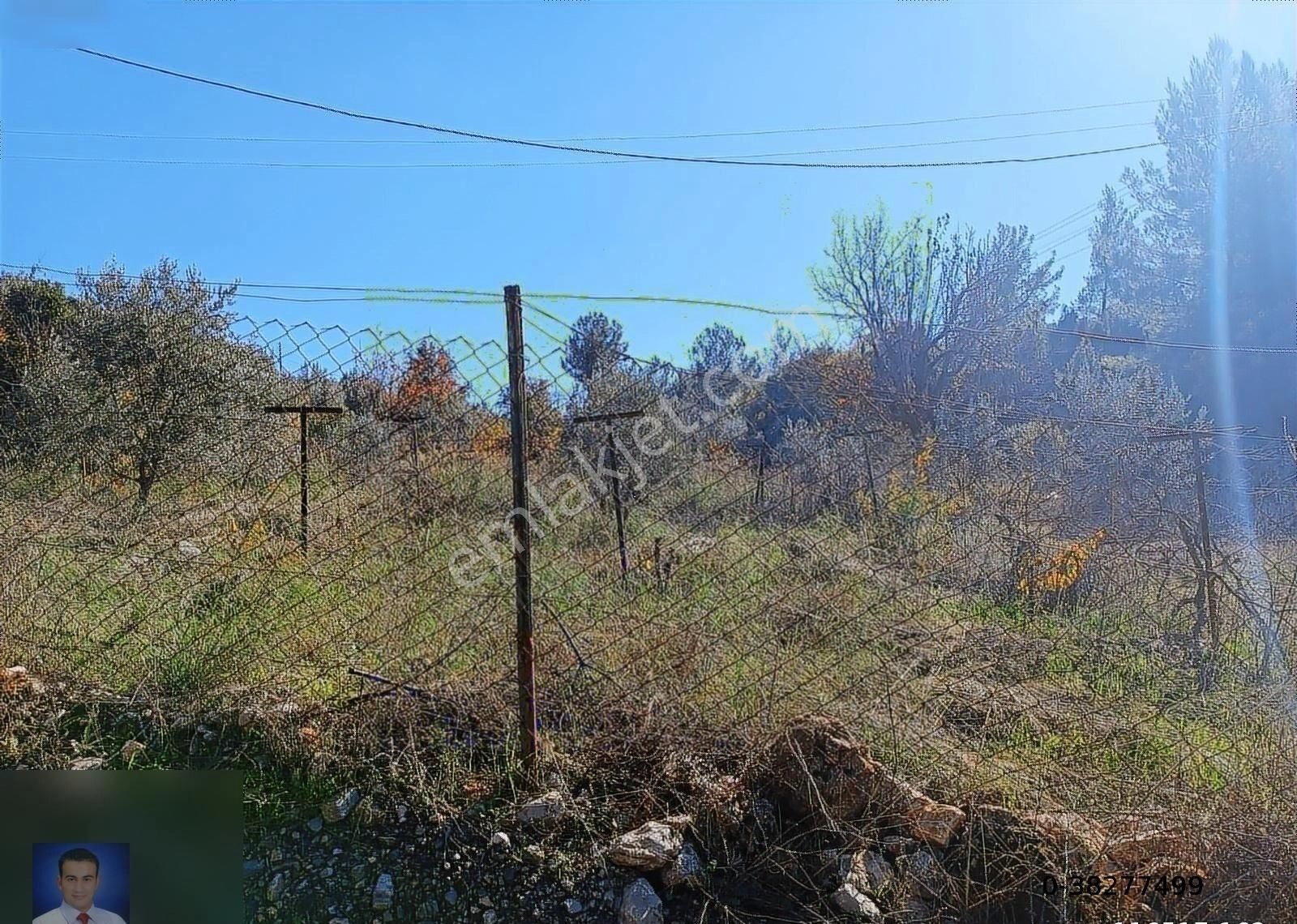 Belen De Sorunsuz Bahçe Ve Tarla - Görsel 4