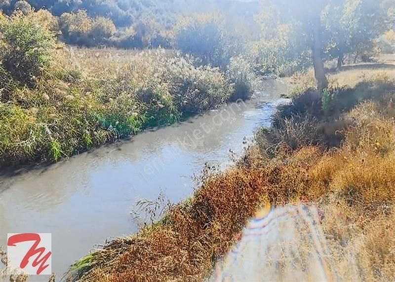 Sındırgı İzzettin Satılık Tarla Dereye Sıfır Müstakil Parsel Cennet Köşesi