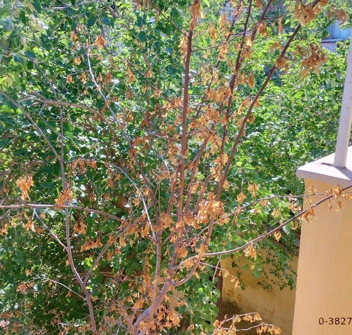 Satılık Müstakil Ev - Görsel 19