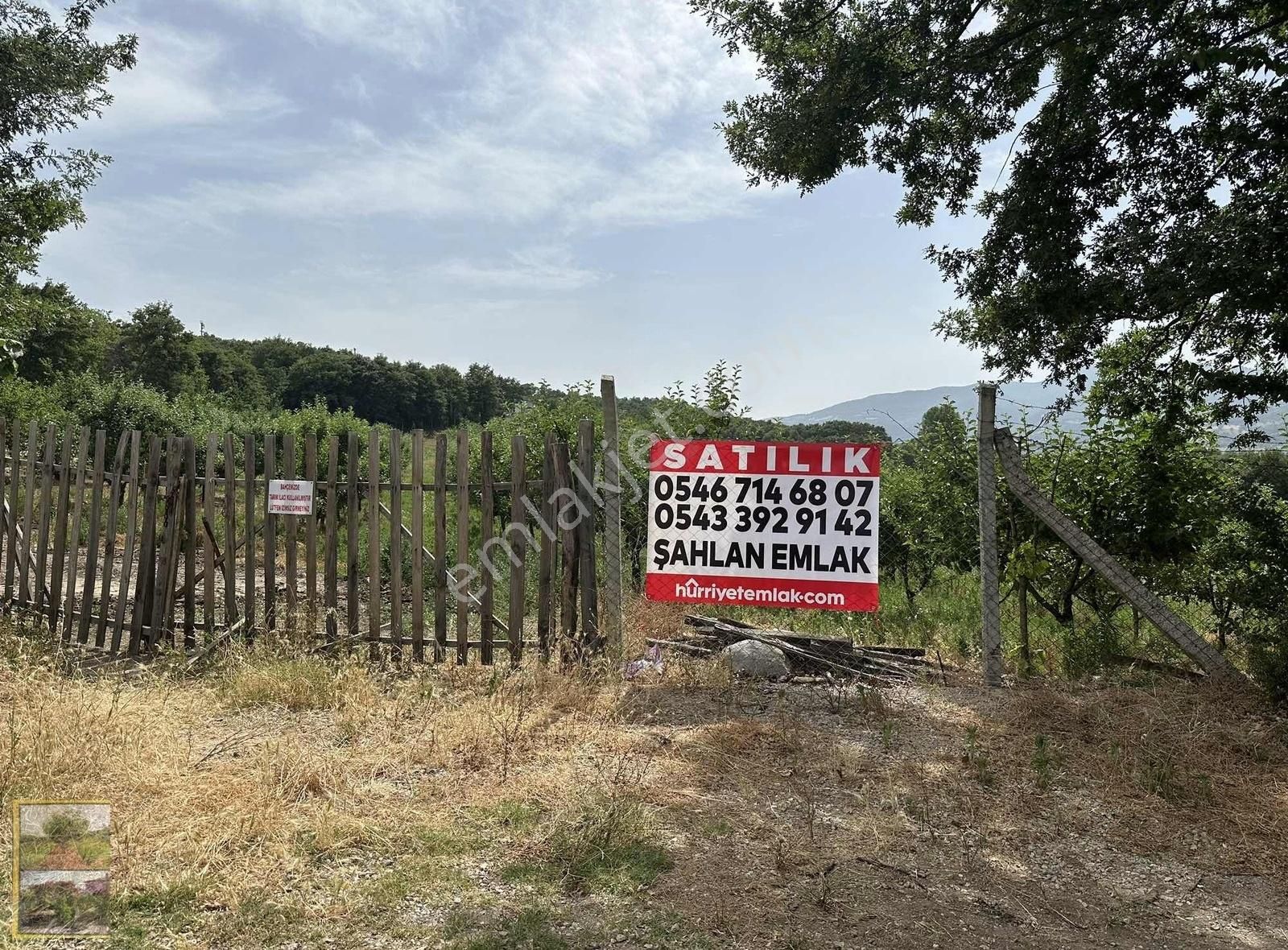 Gönen Ekşidere Satılık Tarla GÖNENİN EN GÖZDE KÖYÜNDE SATILIK MEYVE BAHÇESİ