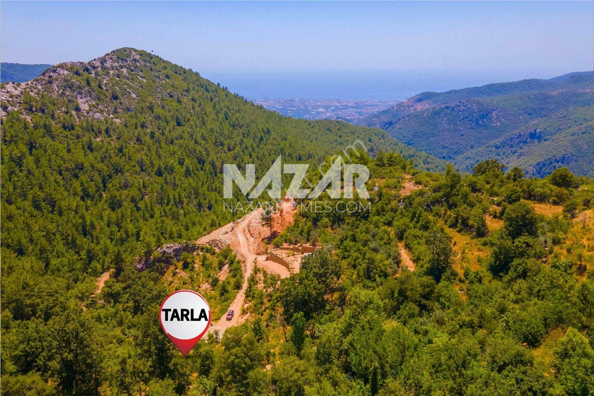 Alanya Bademağacı Satılık Tarla Alanya Bademağacı Köyü’nde Satılık 1.576 m² Tarla