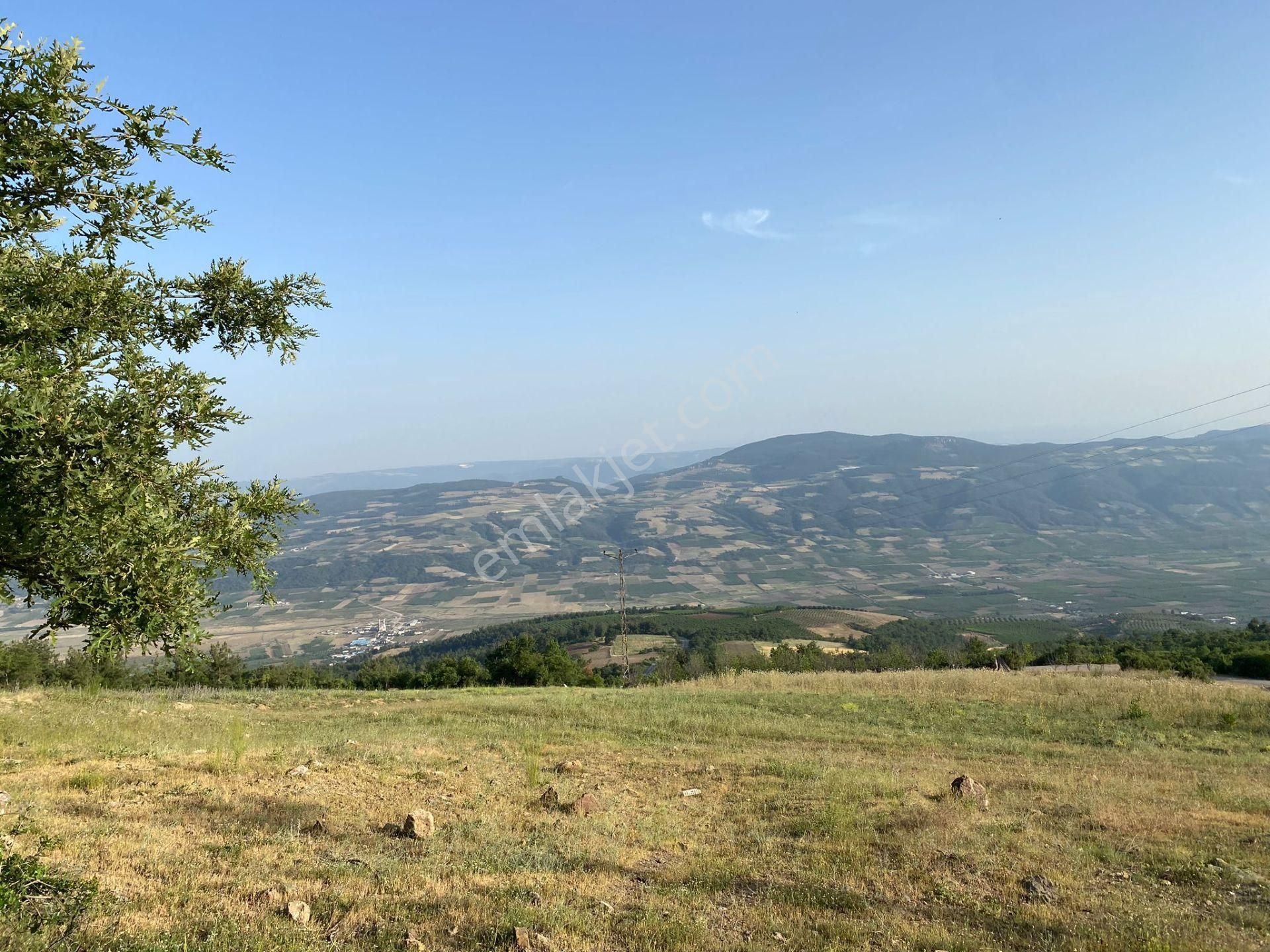 Osmaneli Oğulpaşa Köyü (Merkez) Satılık Tarla  OSMANELİ OĞULPAŞA 8.150 M2 SATILIK TARLA