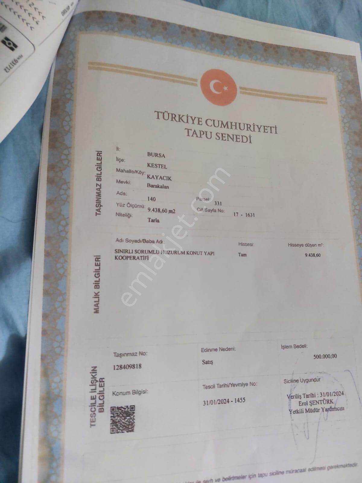 Kestel Kayacık Satılık Tarla Bursa Kestel Kayacık Köyünde Yola Cephe Kooperatif Hissesi Satılıktır.