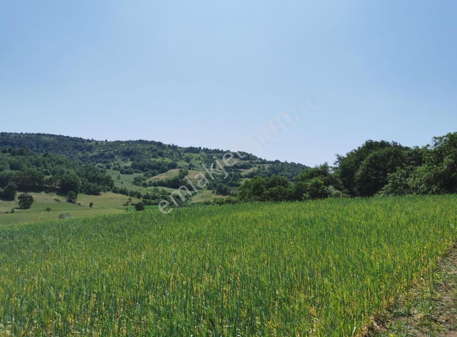 Bursa Yenişehir Kızılhisar Mah. De Satılık Tarla Çiftlik Arazisi - Görsel 15