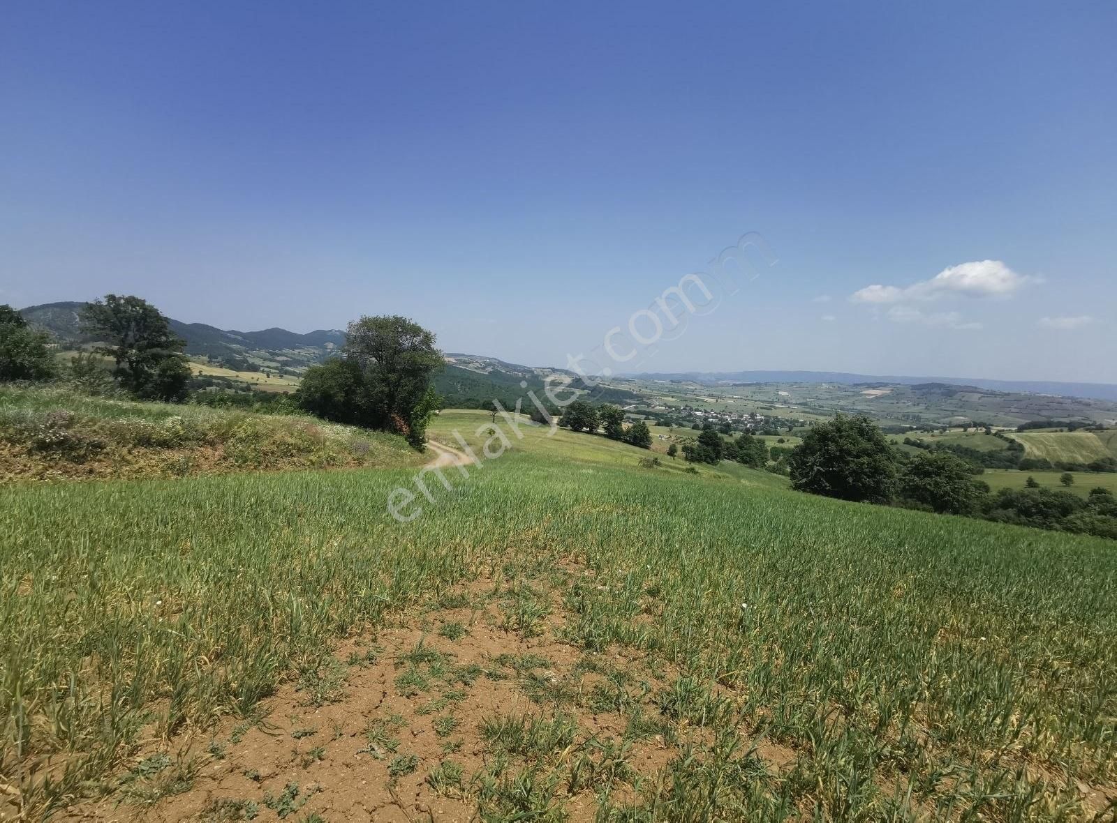 Bursa Yenişehir Kızılhisar Mah. De Satılık Tarla Çiftlik Arazisi - Görsel 4