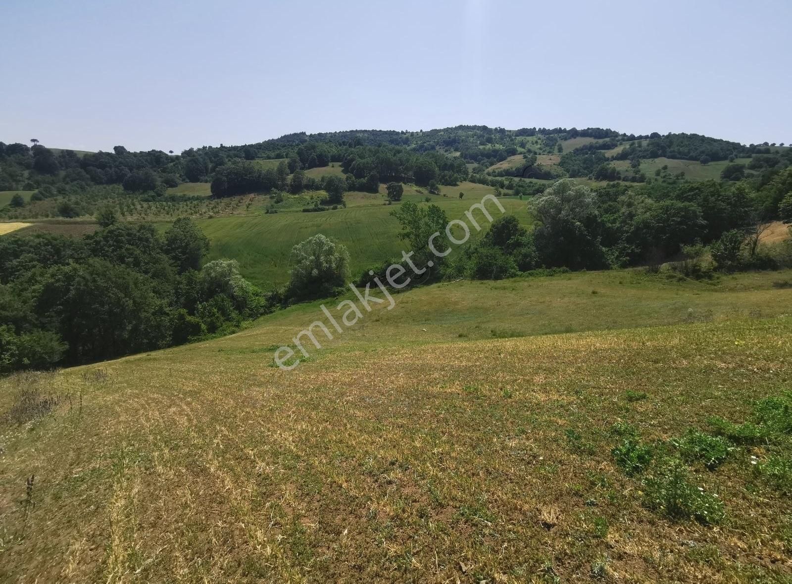 Bursa Yenişehir Kızılhisar Mah. De Satılık Tarla Çiftlik Arazisi - Görsel 2