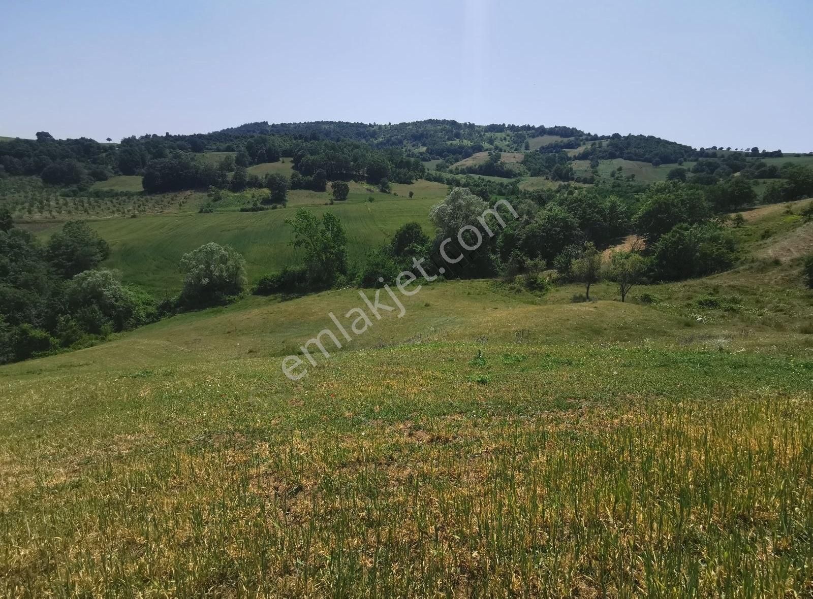 Bursa Yenişehir Kızılhisar Mah. De Satılık Tarla Çiftlik Arazisi - Görsel 14