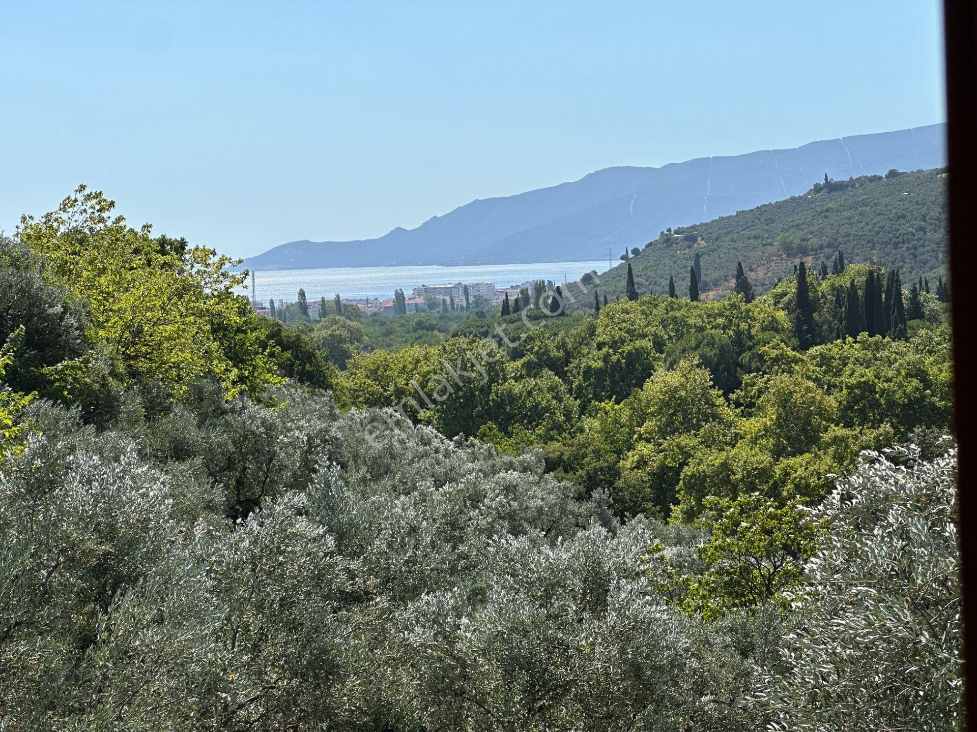 Yankı'dan Gemlik Küçük Kumlada Arsa İçinde 300 M2 Müstakil Villa - Görsel 27