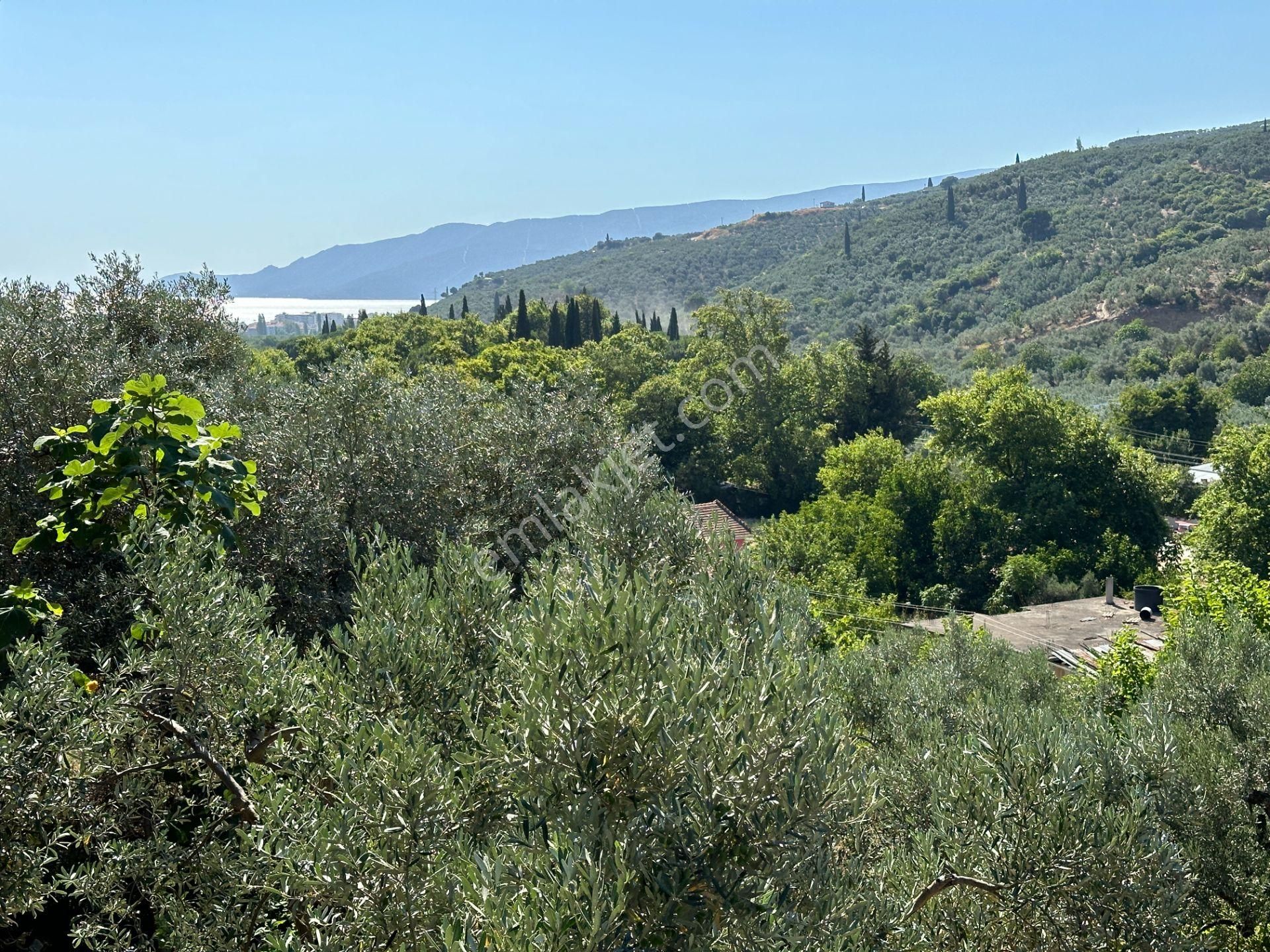 Yankı'dan Gemlik Küçük Kumlada Arsa İçinde 300 M2 Müstakil Villa - Görsel 2