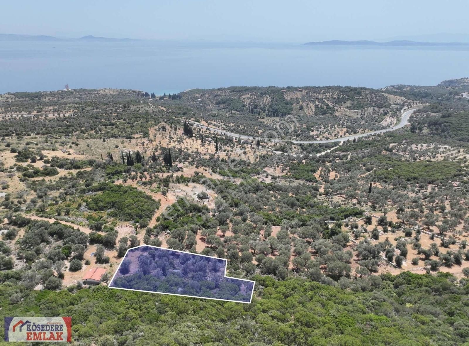 Karaburun Kösedere Satılık Tarla KADASTRAL YOLA CEPHELİ DENİZ MANZARALI YATIRIMLIK TARLA