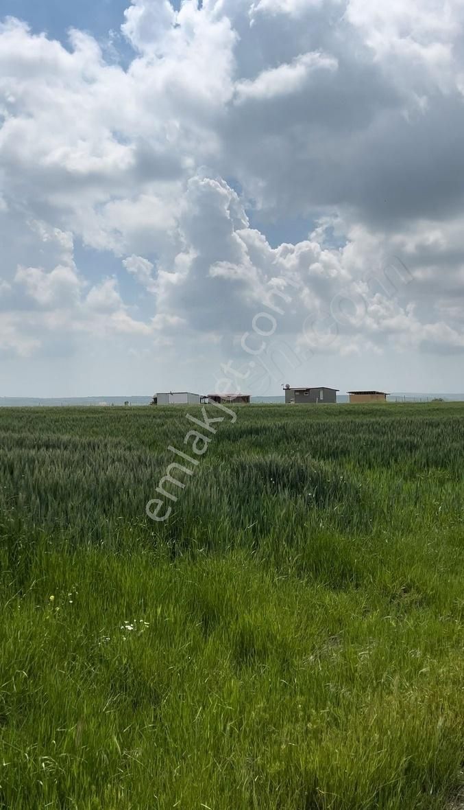 Değirmenköy'de Ana Asfalta Ve Merkeze Yakın 205 M² Parsel - Görsel 3