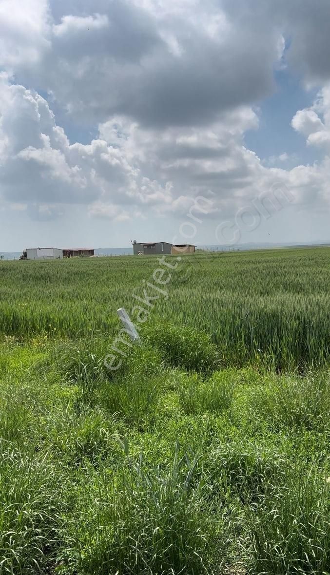 Değirmenköy'de Ana Asfalta Ve Merkeze Yakın 205 M² Parsel - Görsel 4