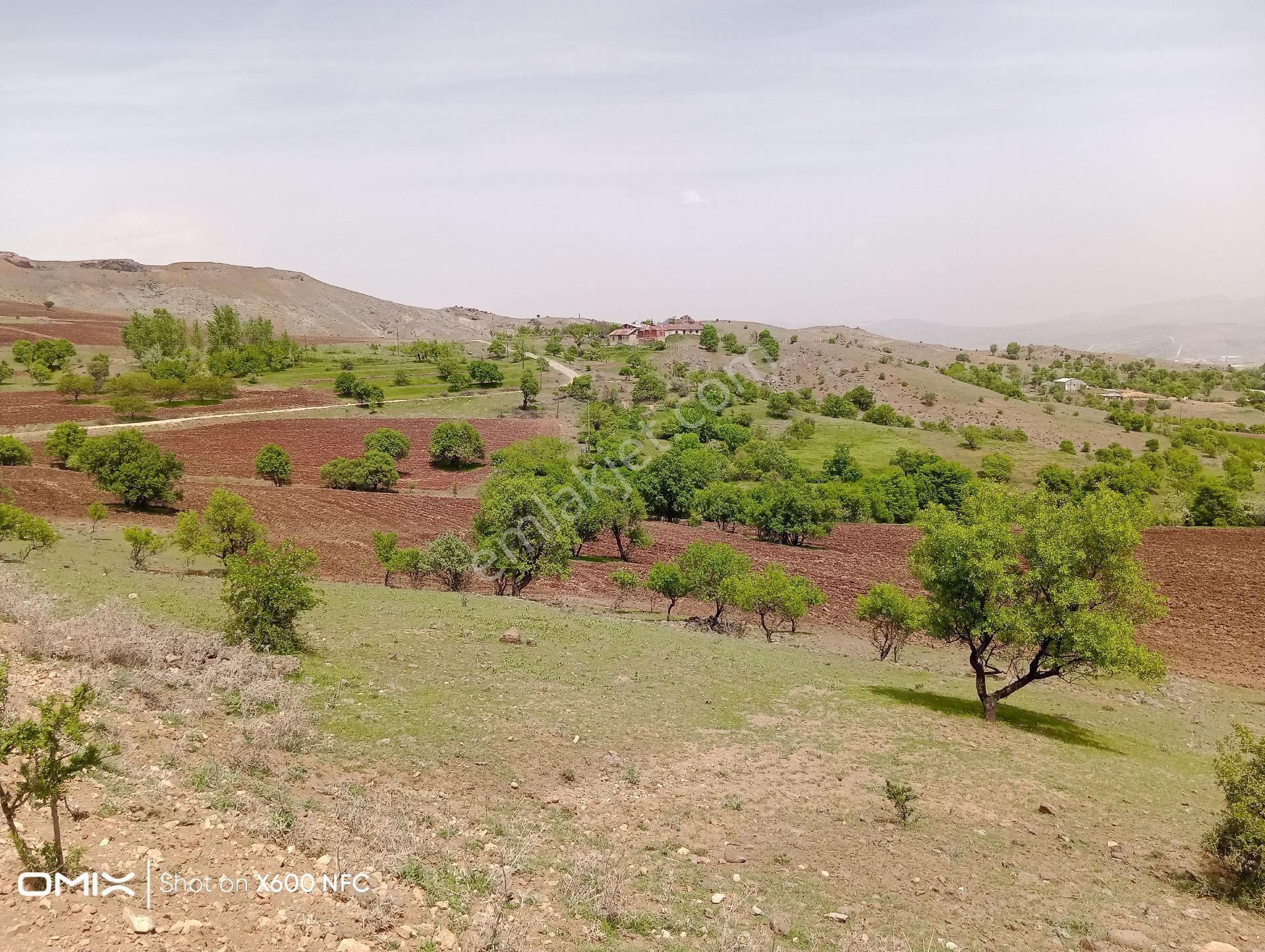 Elazığ Merkez Yemişlik Köyü Satılık Tarla Elazığ Yemişlik Köyünde ( Mah.oldu) Bahçe Ve Yazlık Ev Yapımına Uygun Tarla Kadostro Yolu Açıldı