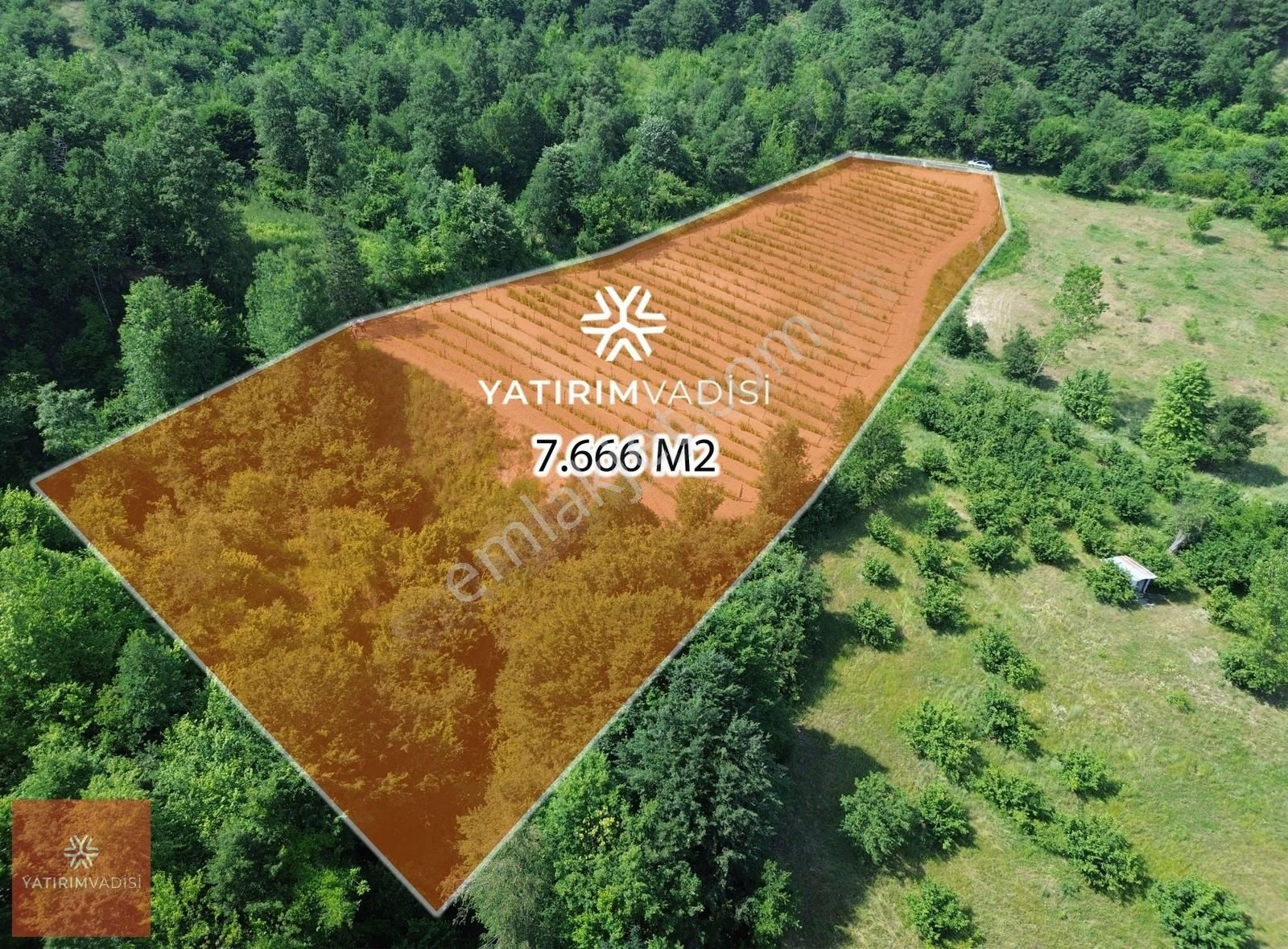 Kendi İşinin Patronu Ol, 7.666 M2 Ahududu Tarlası
