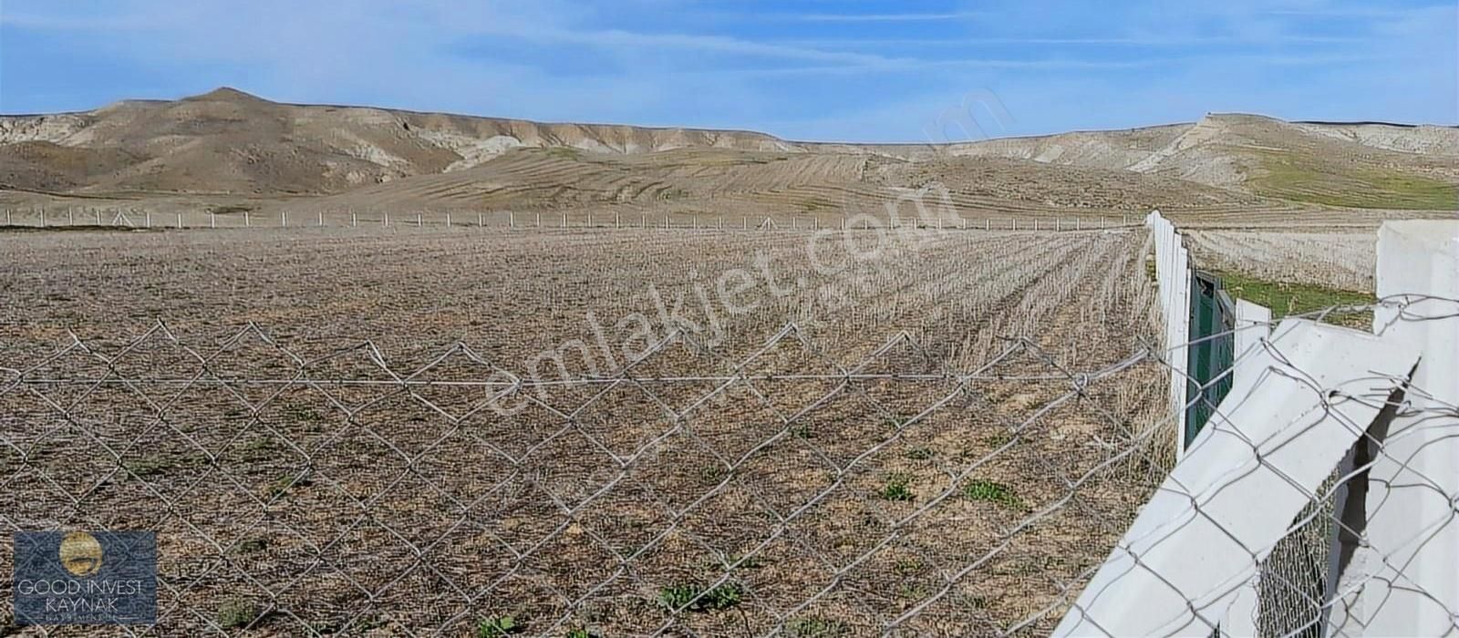 Keçiören Kösrelik Satılık Tarla BAĞLUMDA SATILIK TARLA HİSSESİ