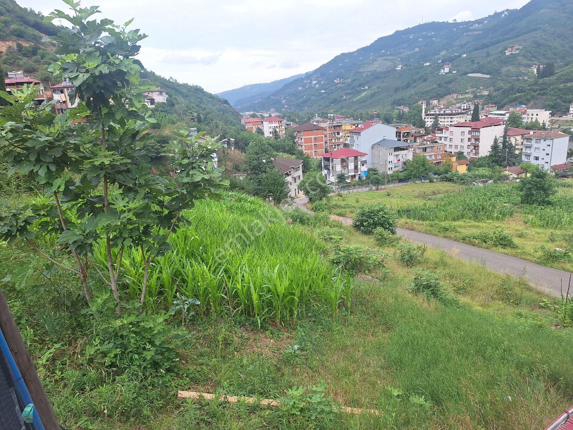 Çağlayan Merkezde Satılık Arsa Alt Ve Üst Sınırı Yola Cepheli!! - Görsel 8
