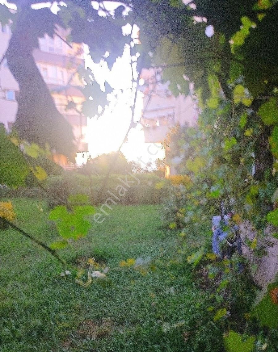 Alya Emlaktan Kiralık Eşyalı Daire Çiftlikköy - Görsel 3