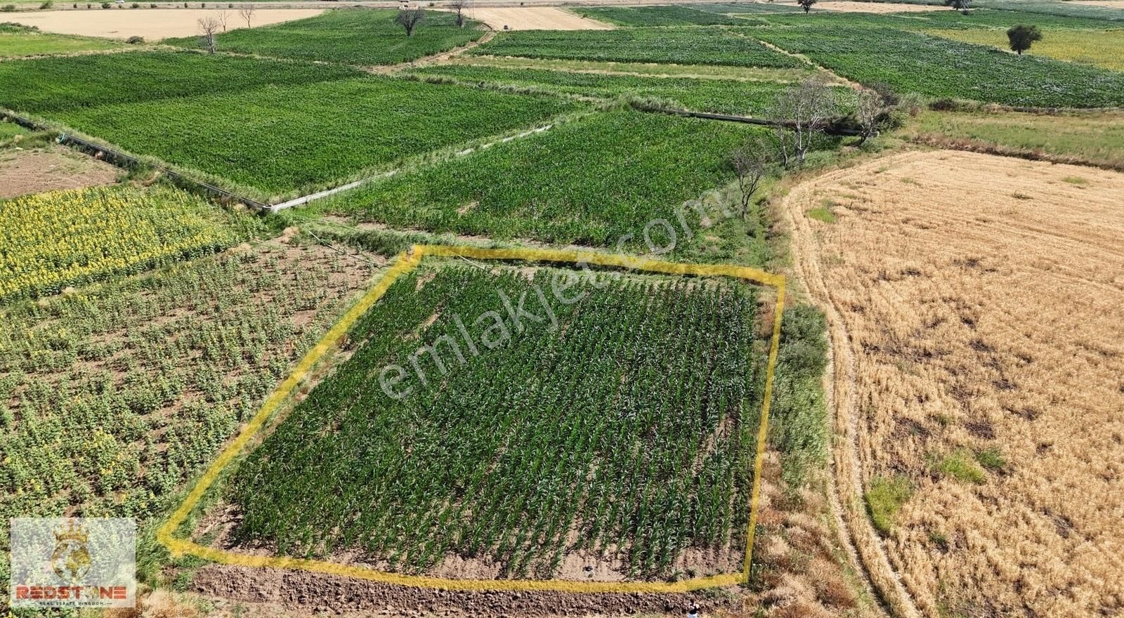 Ezine Kızılköy Köyü Satılık Tarla Ç.KALE EZİNE KIZILKÖY'DE ANA YOLA YAKIN 1682 m2 SATILIK TARLA