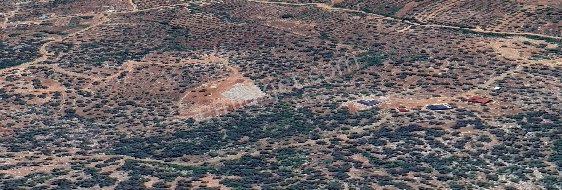 Fethiye Gökben Satılık Tarla Goldhouse Dan Satılık Fethiye Gökben De Arsa