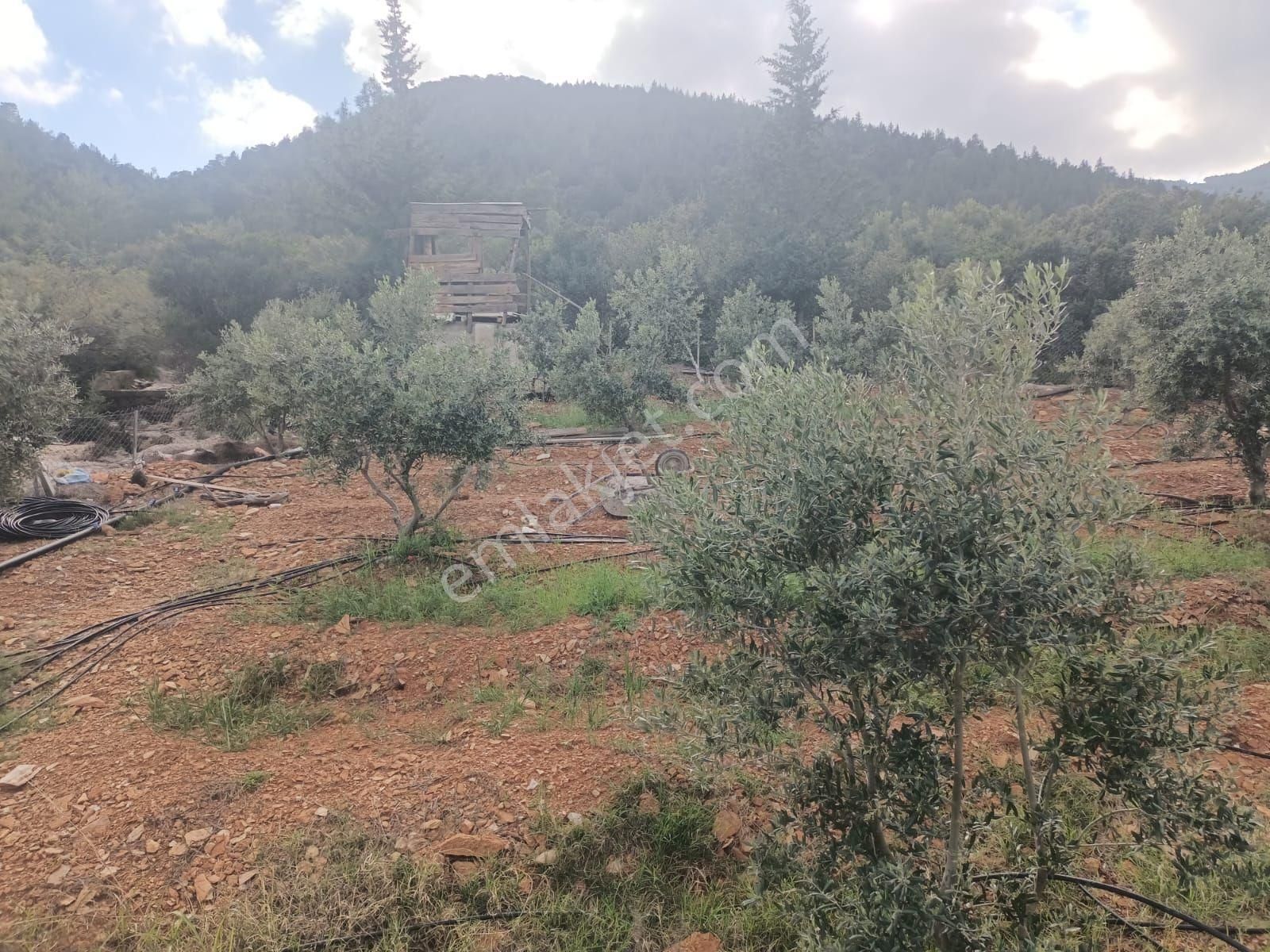 Aydıncık Emlaktan Satılık Tarla 1316m2 - Görsel 15