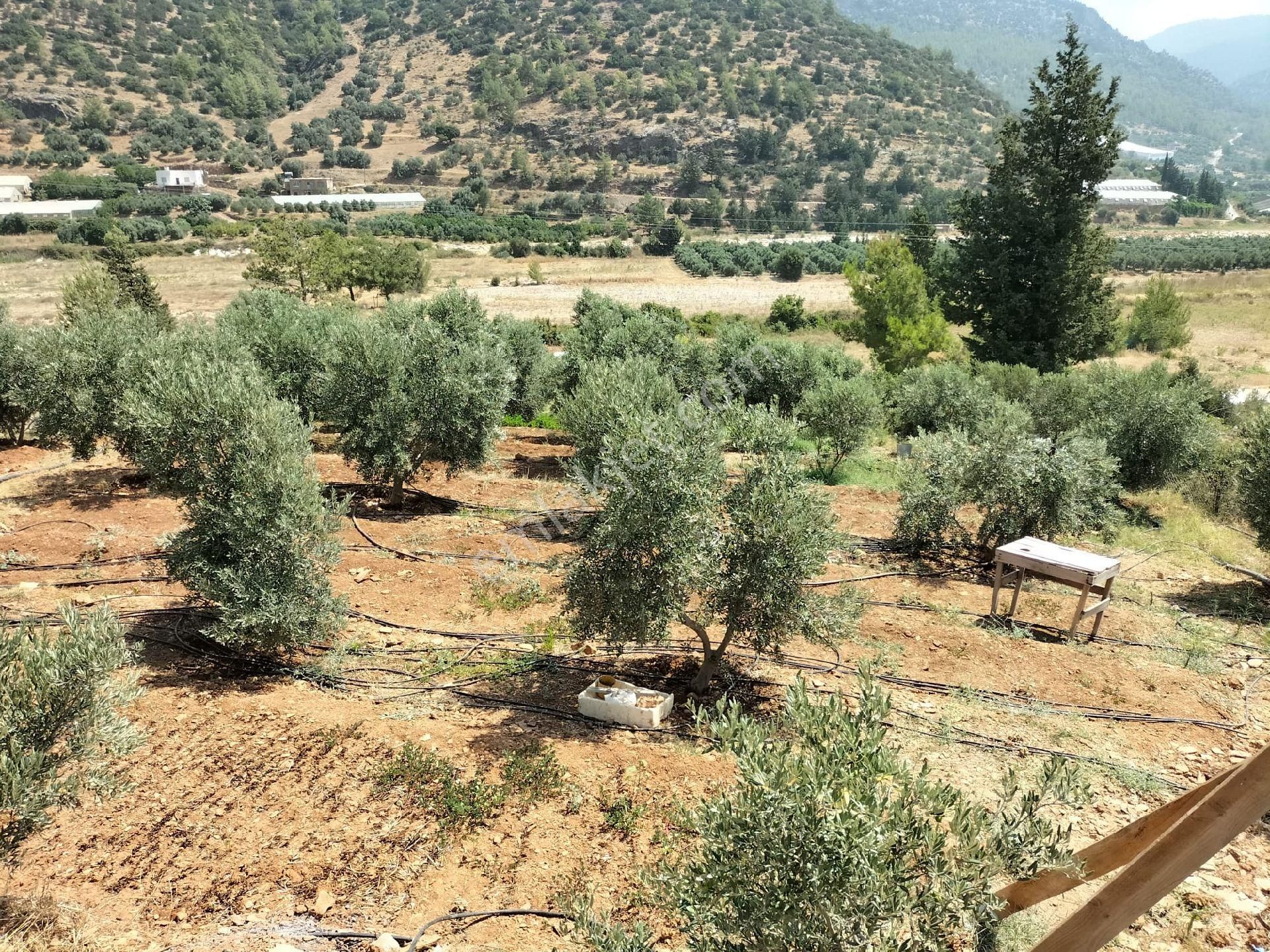 Aydıncık Emlaktan Satılık Tarla 1316m2 - Görsel 3