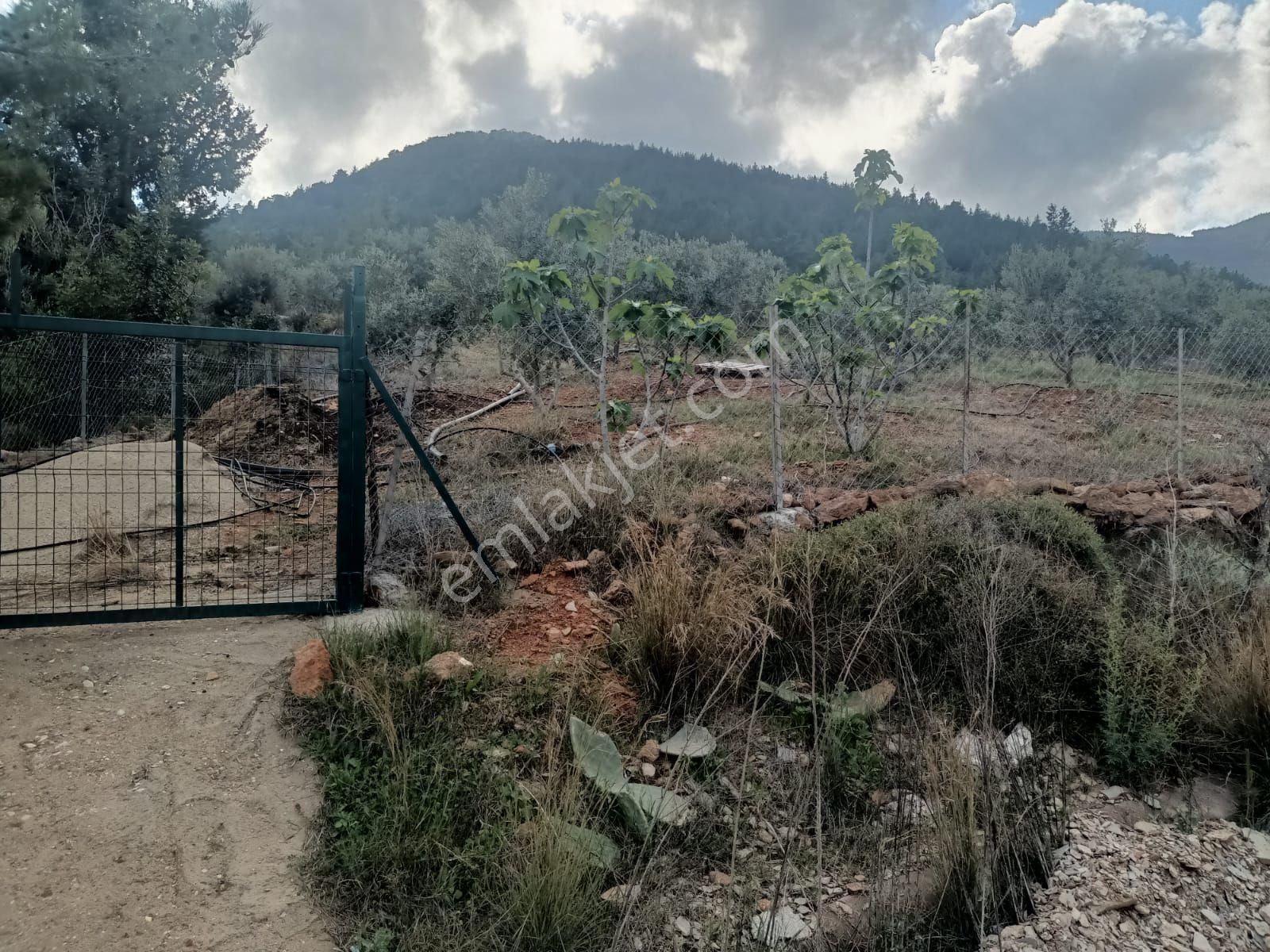 Aydıncık Emlaktan Satılık Tarla 1316m2 - Görsel 4