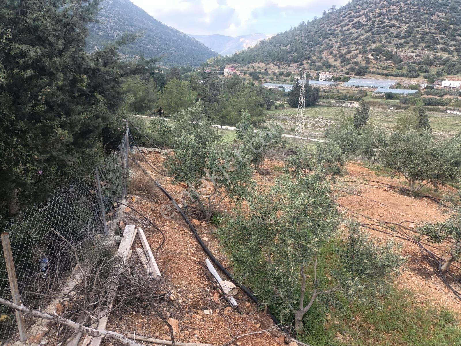 Aydıncık Emlaktan Satılık Tarla 1316m2 - Görsel 10