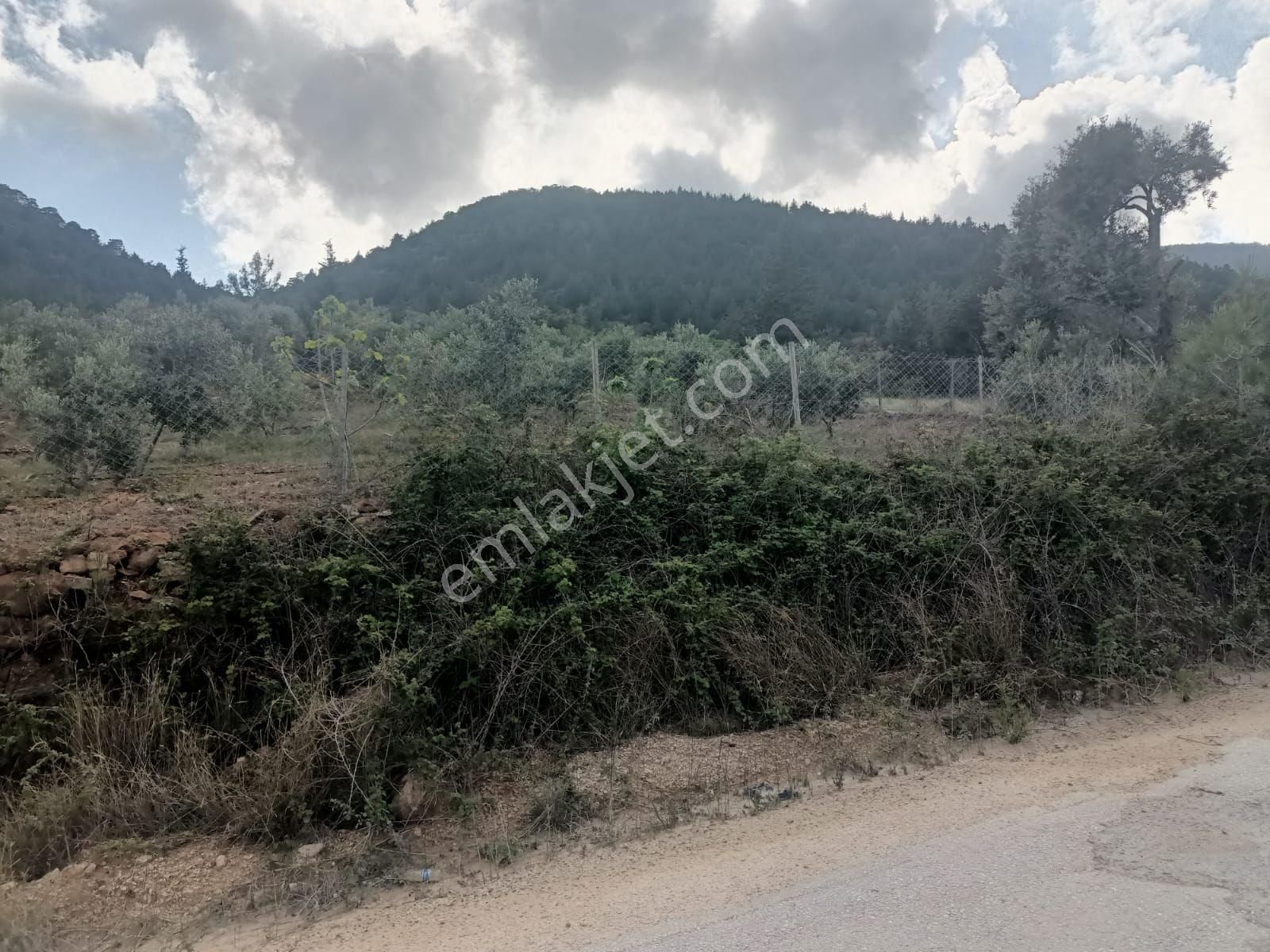 Aydıncık Emlaktan Satılık Tarla 1316m2 - Görsel 11