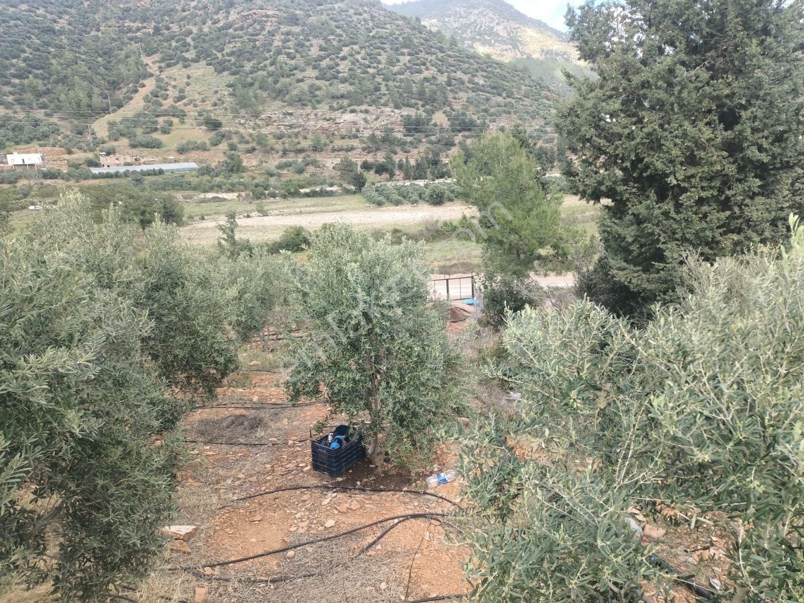 Aydıncık Emlaktan Satılık Tarla 1316m2 - Görsel 12