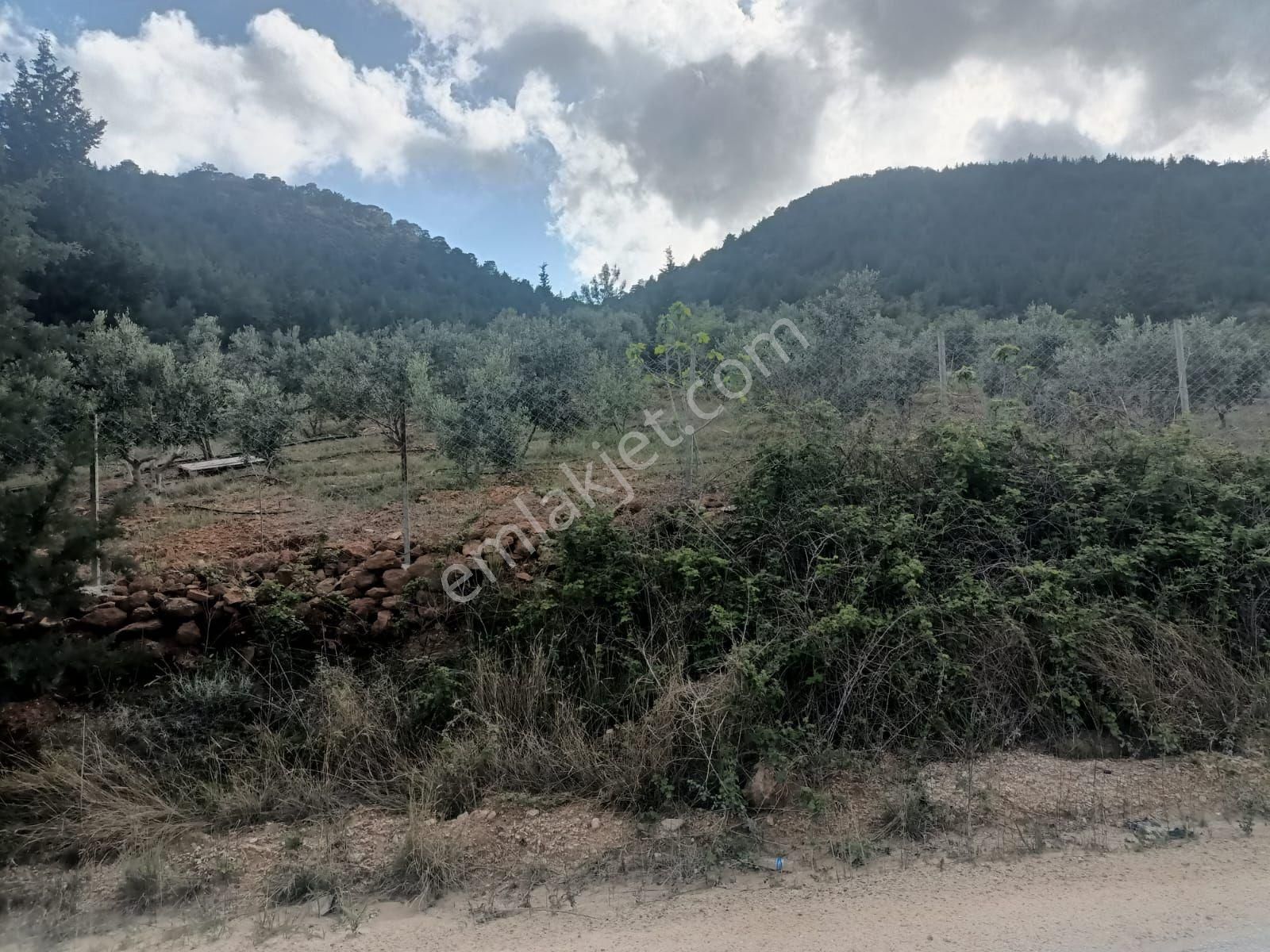 Aydıncık Emlaktan Satılık Tarla 1316m2 - Görsel 18